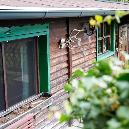 Wildromantische Berghuette Mit Traum-panorama 度假居 Haus (Tyrol)