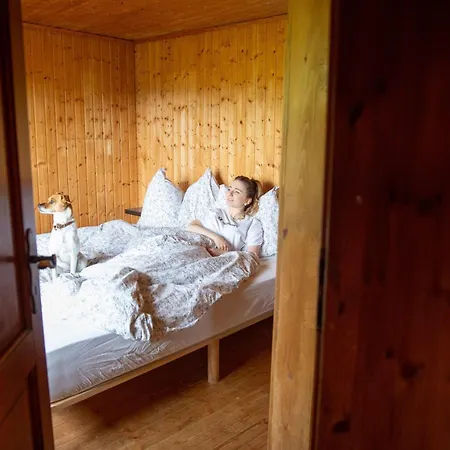 Tatil Evi Wildromantische Berghuette Mit Traum-panorama *